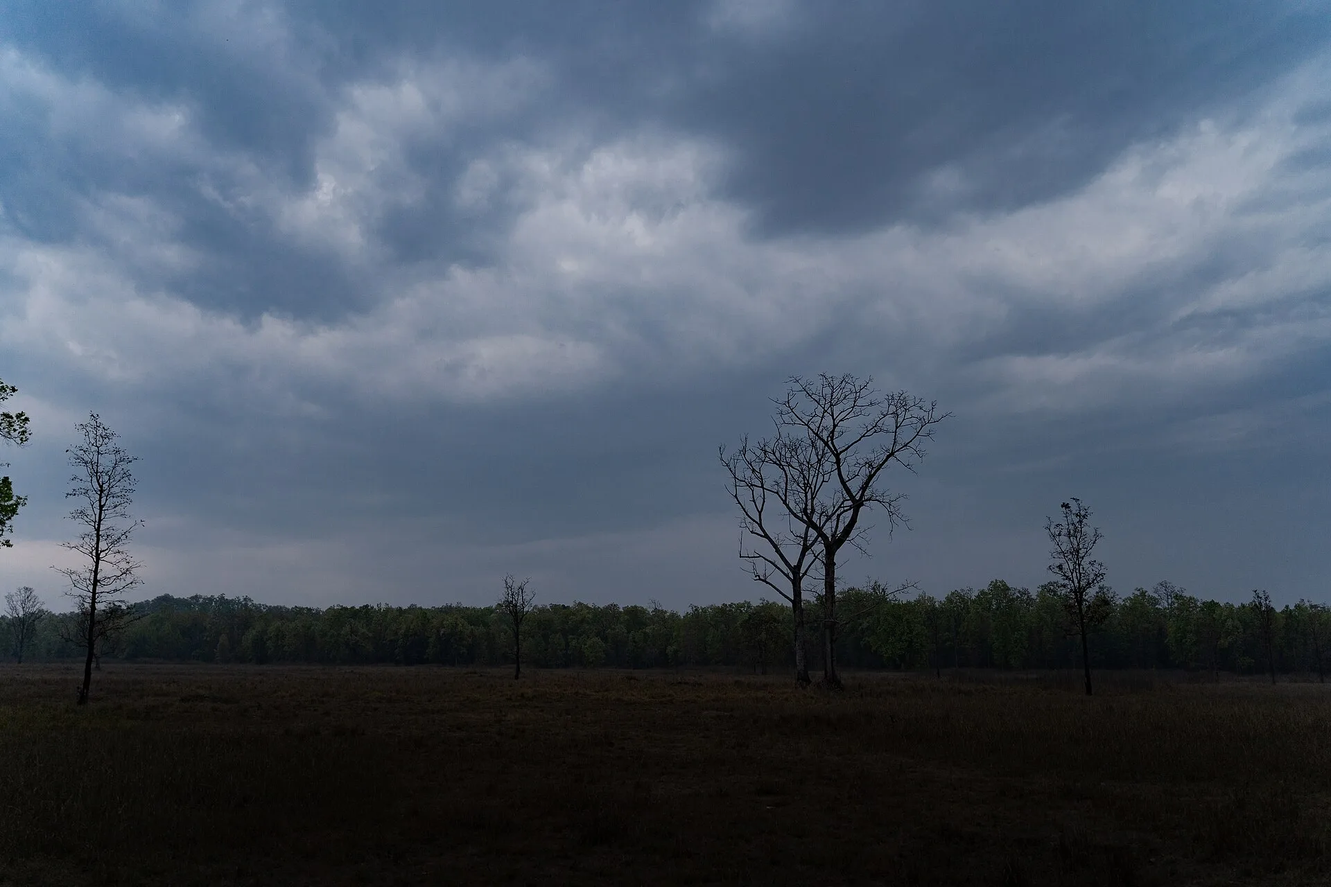 Kanha National Park India landscape, selected for the Central Nature’s Treasure journey