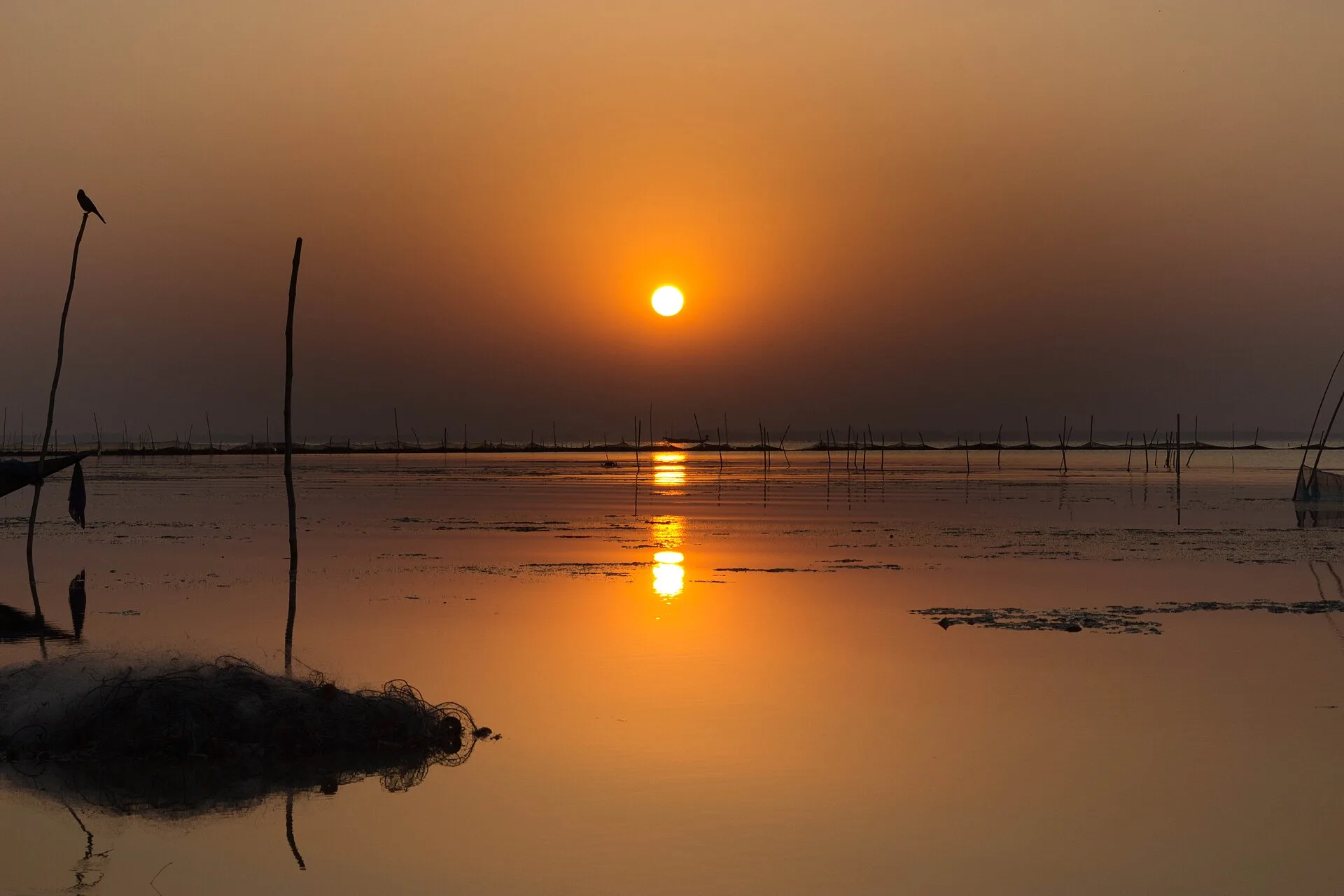 Chilika Lake Odisha, selected for the Coast Odisha journey