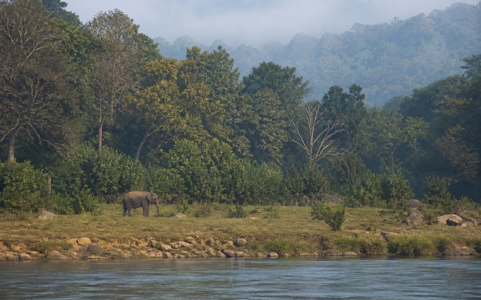Satkosia wildlife Odisha, selected for the Odisha Wildlife Tour II journey